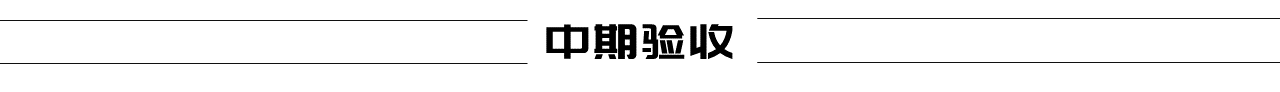 中期验收文字